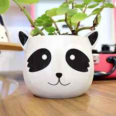 Imagen de MACETA MAPACHE