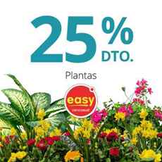 Imagen de 25% en plantas