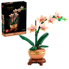Imagen de Mini Orquídia Botanicals