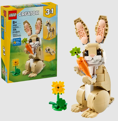 Imagen de Conejo 3 en 1