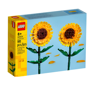 Imagen de Girasoles